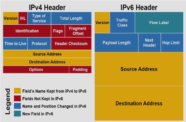 IP Paket Başlıkları